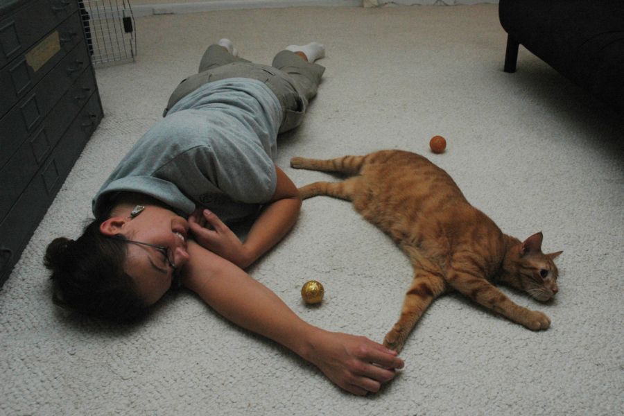 Foster mom Bianca Trombi, outreach programs coordinator, Hawaiian Humane Society, lounges on the floor with Jambo. Trombi is fostering Jambo, along with his sister Fancy while Staff Sgt. Roxanne Pratt is deployed. Through the Pets of Patriot Program, the Humane Society aids deploying Soldiers find a temporary home for their pet. 